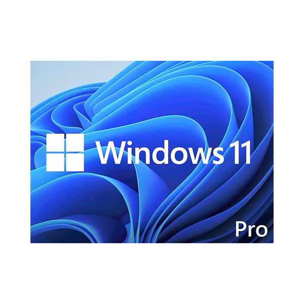 Buy WIN 11 PRO 64BIT ENG DSP DVD MICROSOFT WINDOWS 11 PRO at low price from digiteq.com
